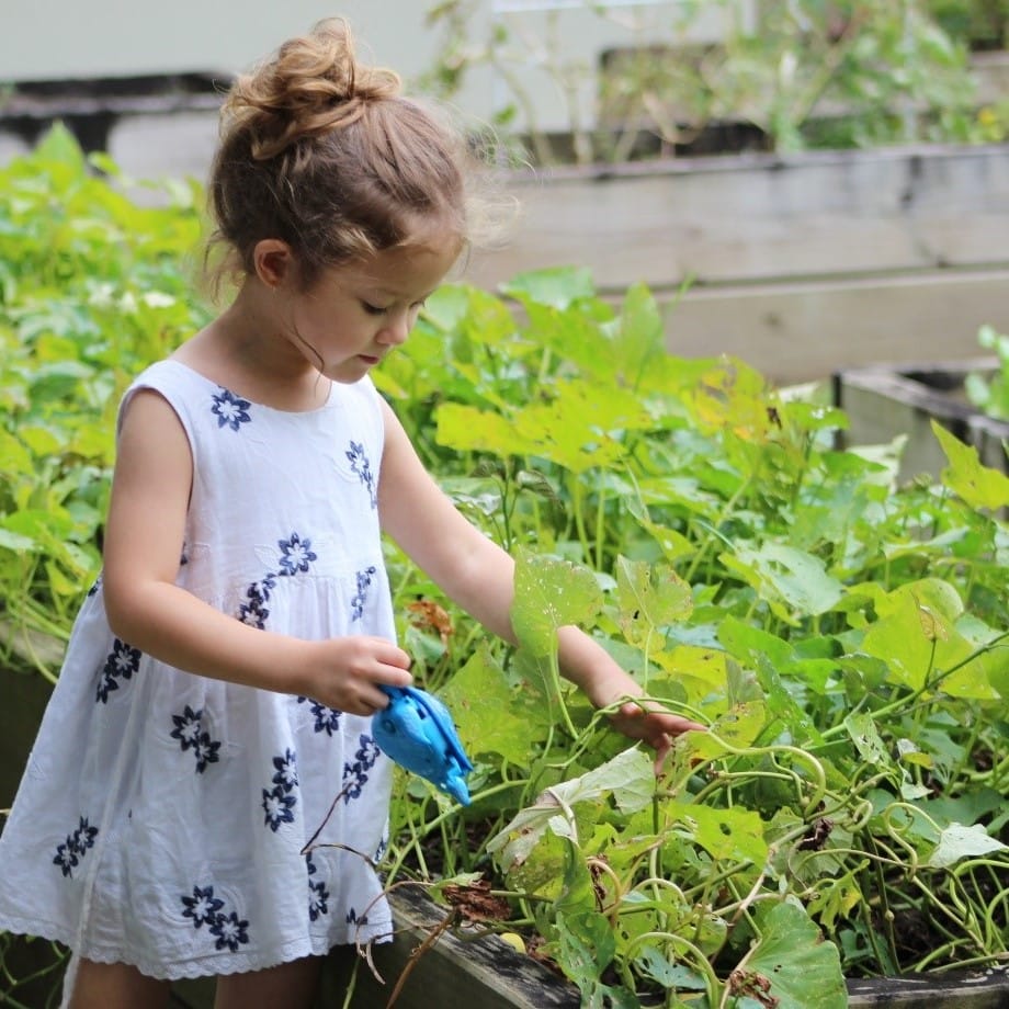 Sensory Gardens In Schools: How To Create One