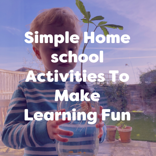 Simple Homeschool Ideas To Make Learning Fun