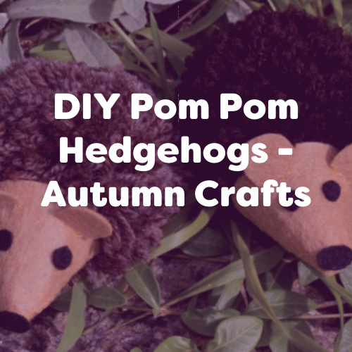 DIY Adorable Pom Pom Hedgehogs – Autumn Crafts