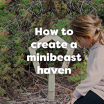 how to create a minibeast haven