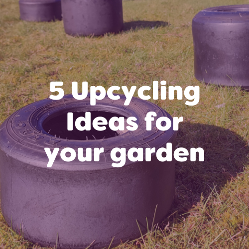 5 upcycling ideas for your garden