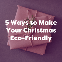 5 Ways to Make Your Christmas Eco-Friendly